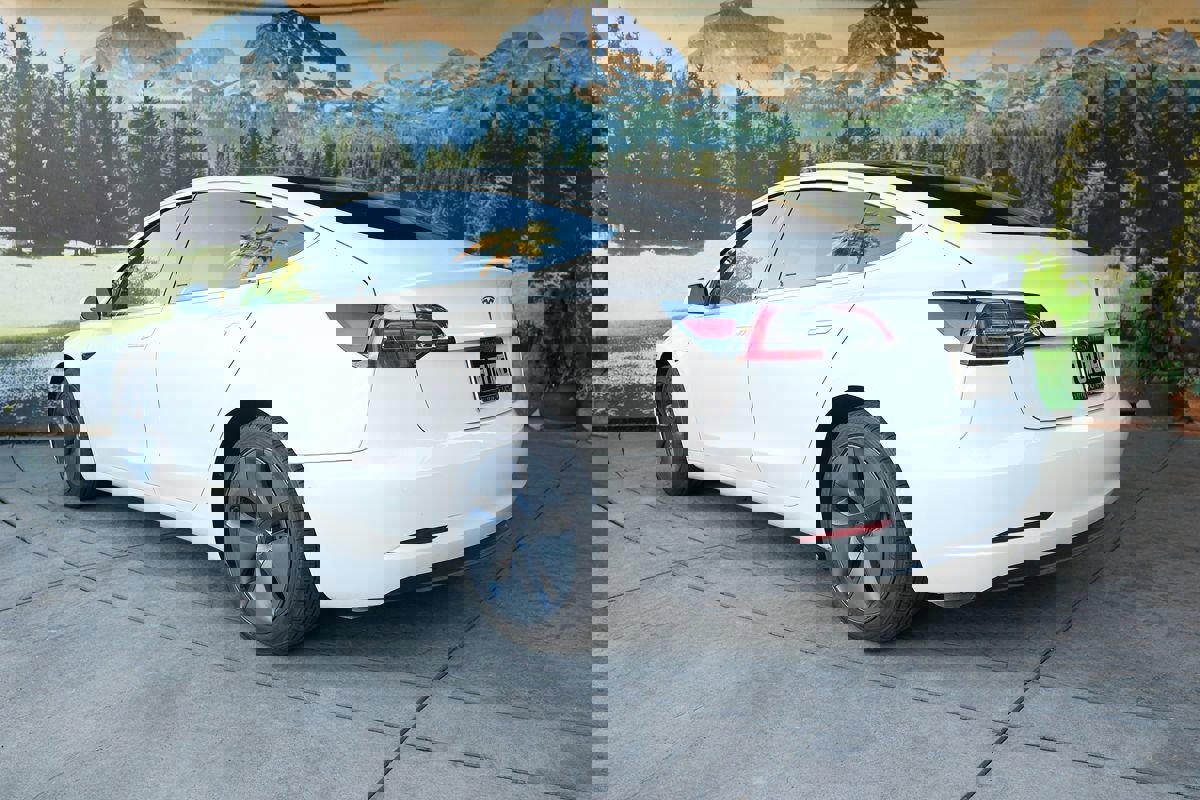 Used 2020 Tesla Model 3 Standard Range Plus image 4