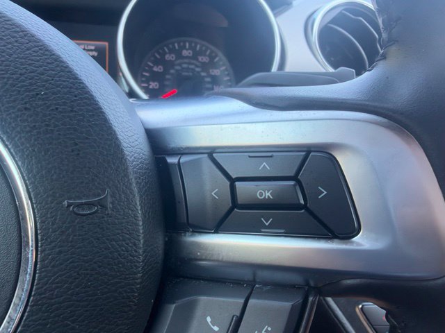 Used 2019 Ford Mustang GT Premium RWD image 14