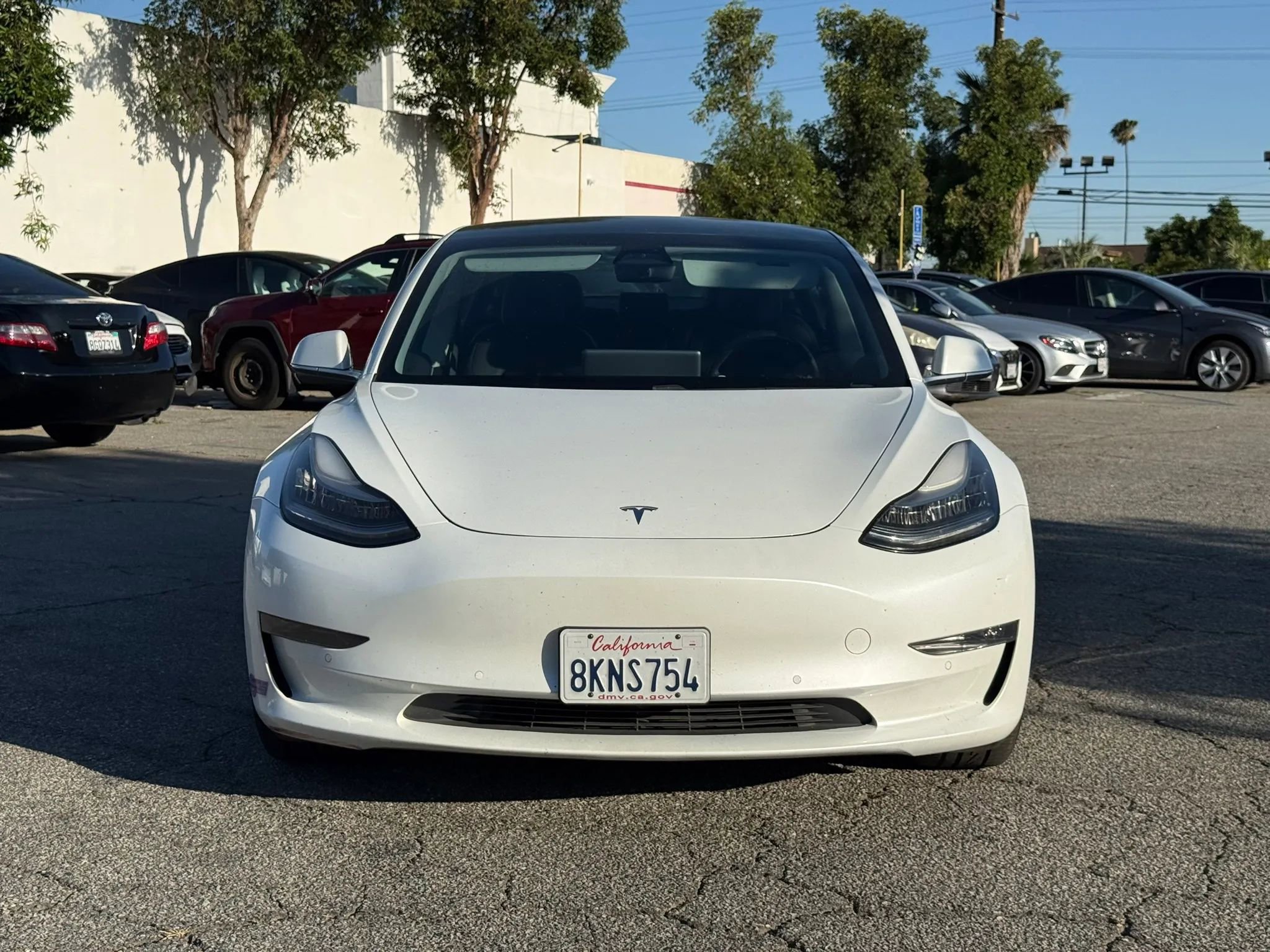 Used 2019 Tesla Model 3 Standard Range Plus RWD image 2