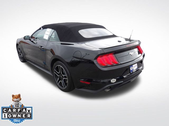 Certified 2023 Ford Mustang Premium image 5