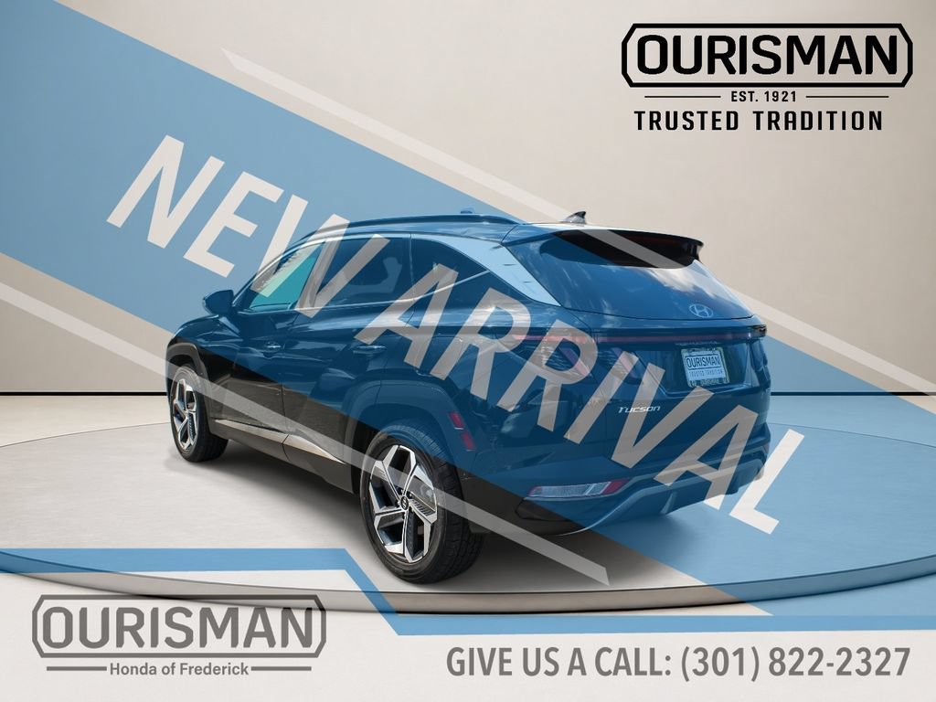 Used 2024 Hyundai Tucson Limited AWD/4WD image 7