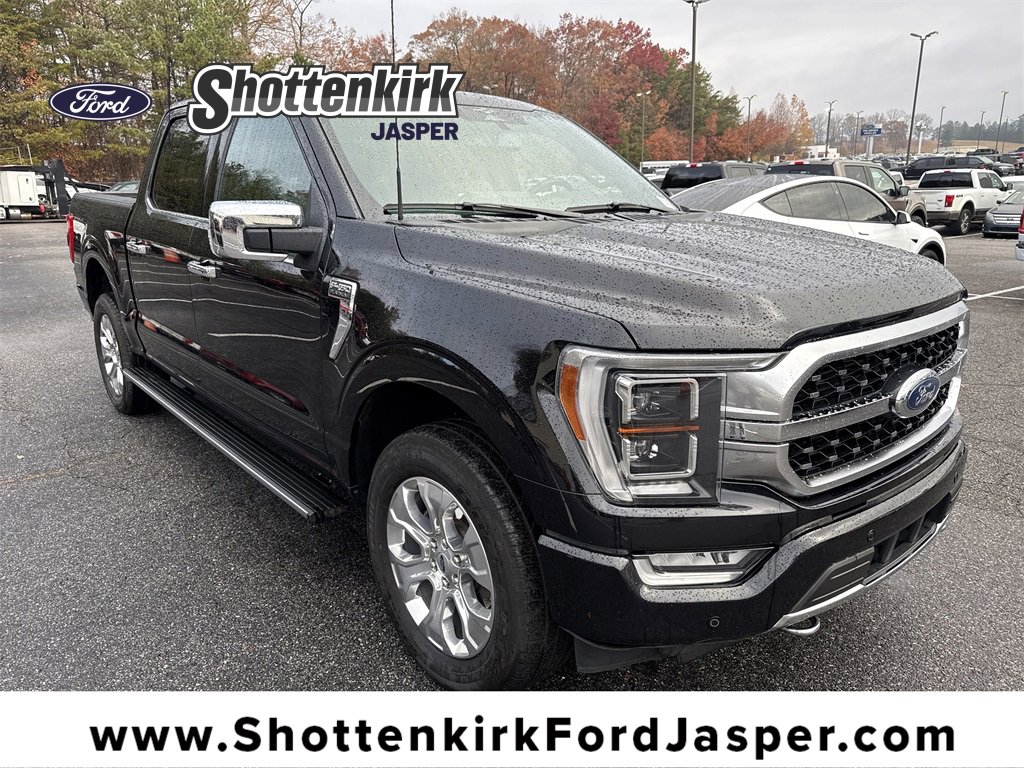 Used 2023 Ford F150 Platinum