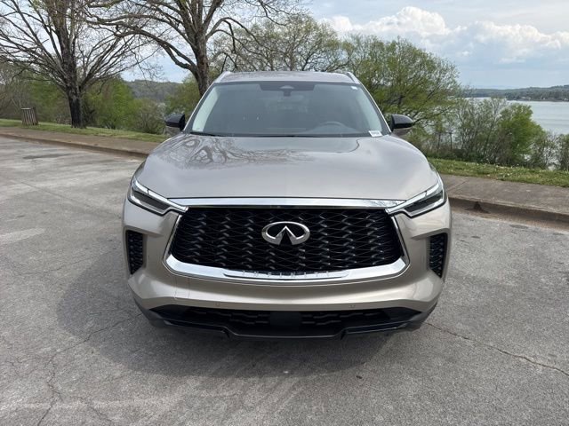 Used 2024 INFINITI QX60 Luxe image 2