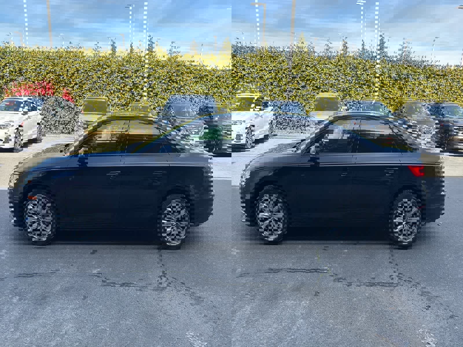 Used 2017 Audi A4 2.0T Premium w/ Convenience Package image 5