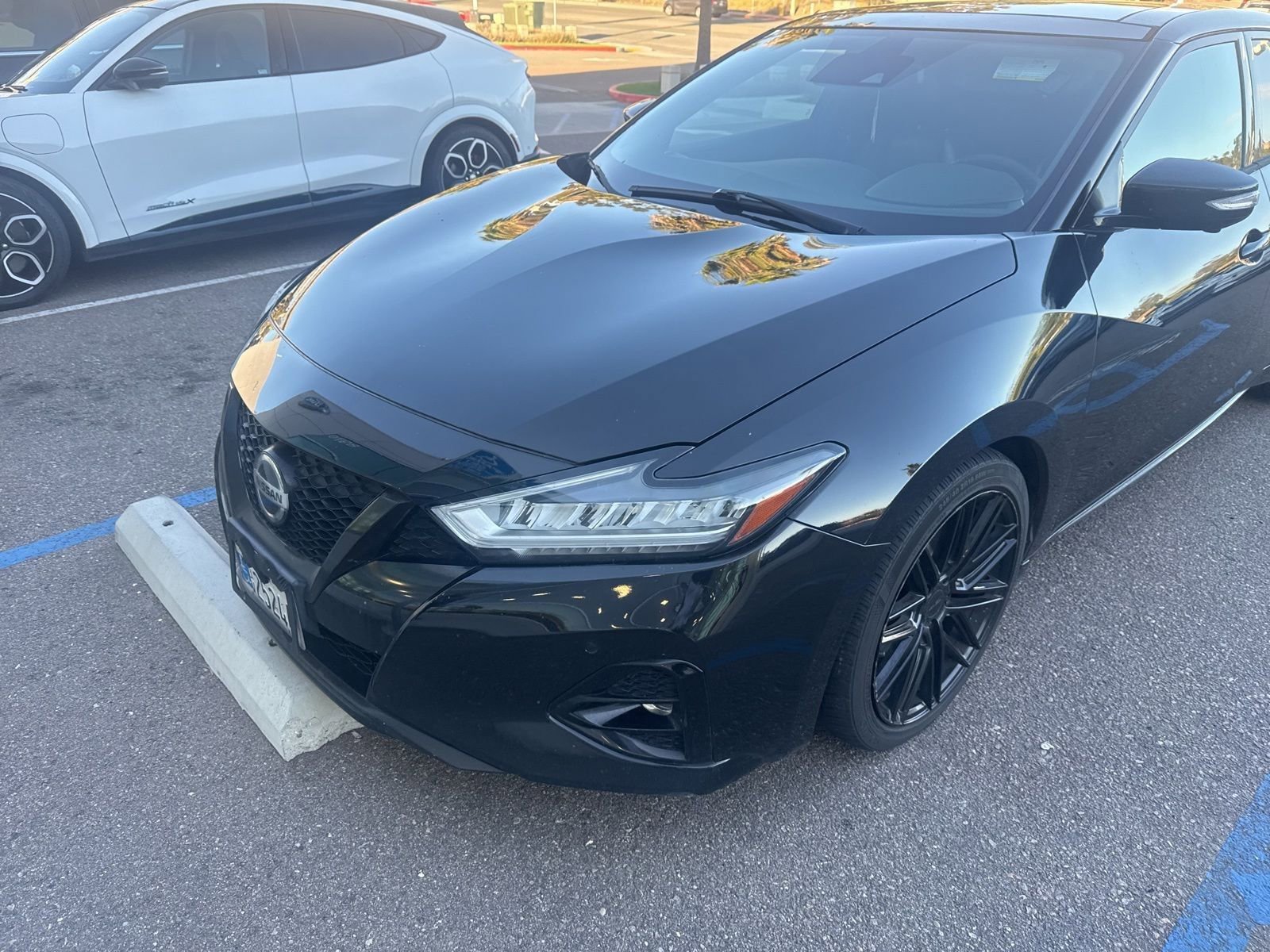 Used 2019 Nissan Maxima SR w/ Premium Package image 2