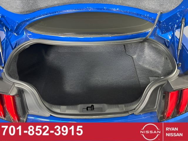 Used 2019 Ford Mustang Premium w/ Equipment Group 201A image 7