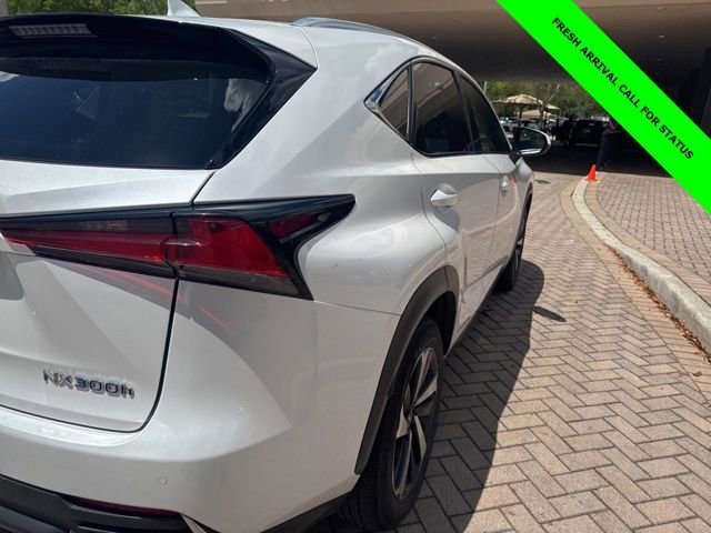 Used 2020 Lexus NX 300h AWD w/ Premium Package image 7