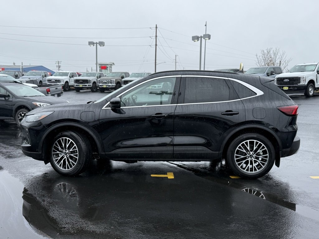 Certified 2023 Ford Escape SE w/ PHEV Premium Package image 12