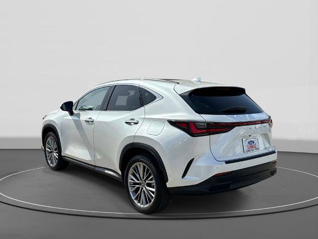 Used 2024 Lexus NX 350h AWD w/ Vision Package image 7