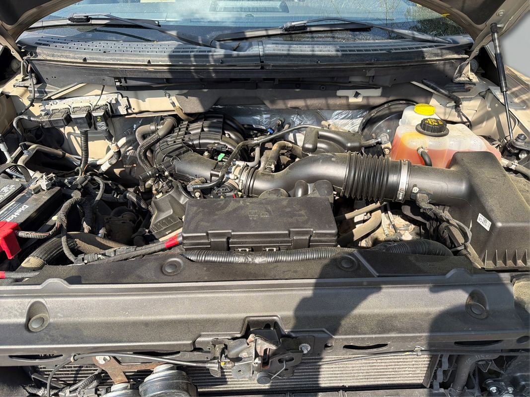 Used 2014 Ford F150 XLT w/ XLT Chrome Package image 26