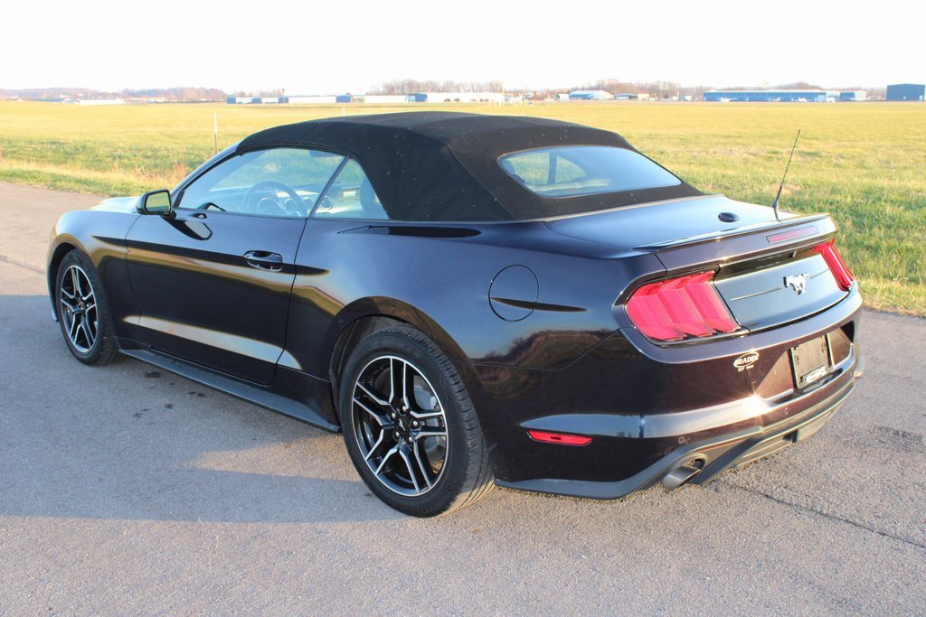 Used 2023 Ford Mustang Premium image 5