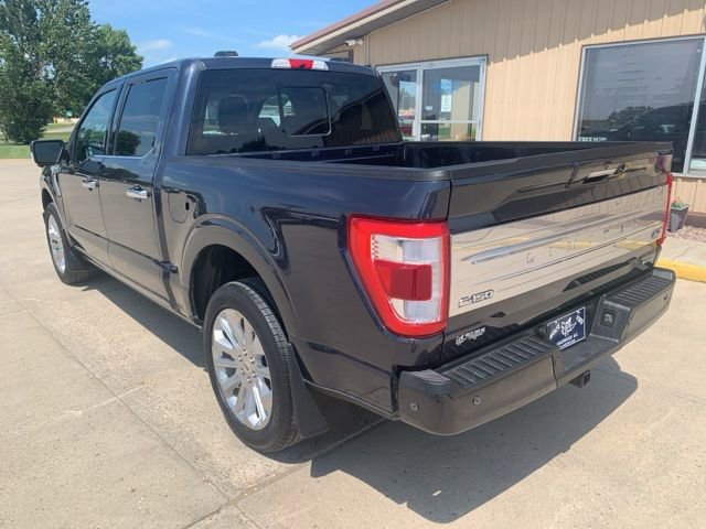 Certified 2022 Ford F150 Limited image 5