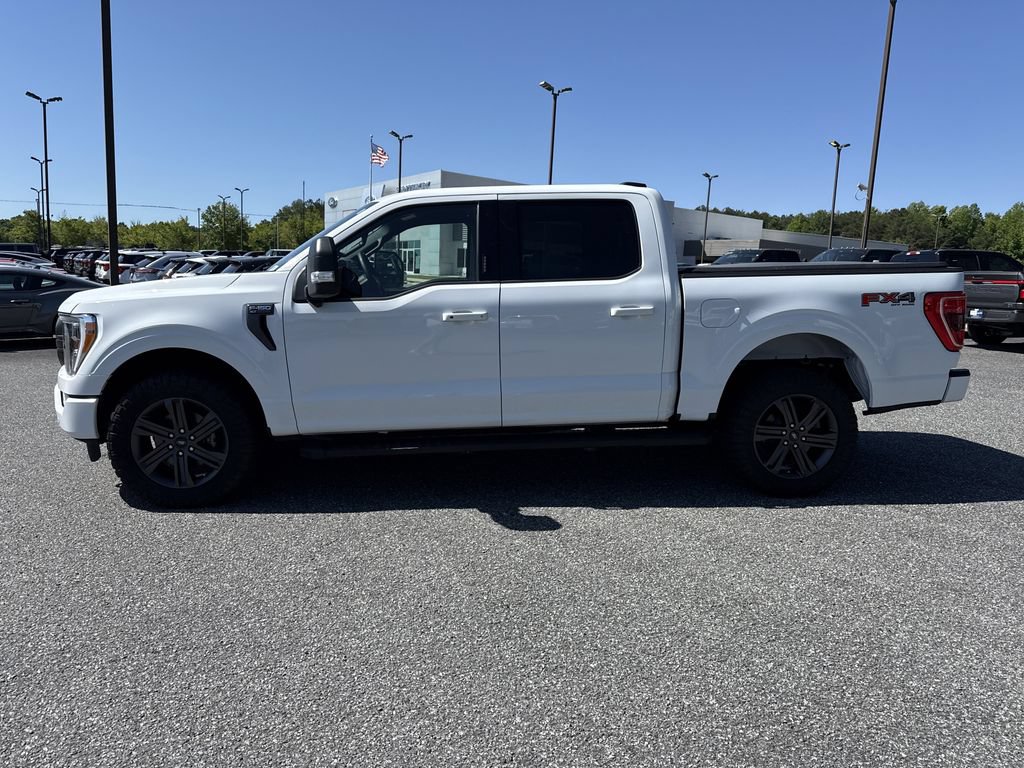 Used 2023 Ford F150 XLT w/ Equipment Group 302A High AWD/4WD image 4