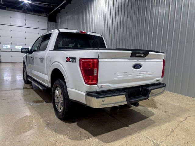 Used 2023 Ford F150 XLT w/ Equipment Group 301A Mid image 3