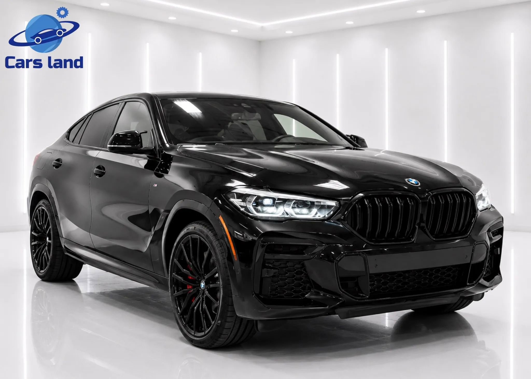 Used 2022 BMW X6 xDrive40i w/ M Sport Package AWD/4WD image 2