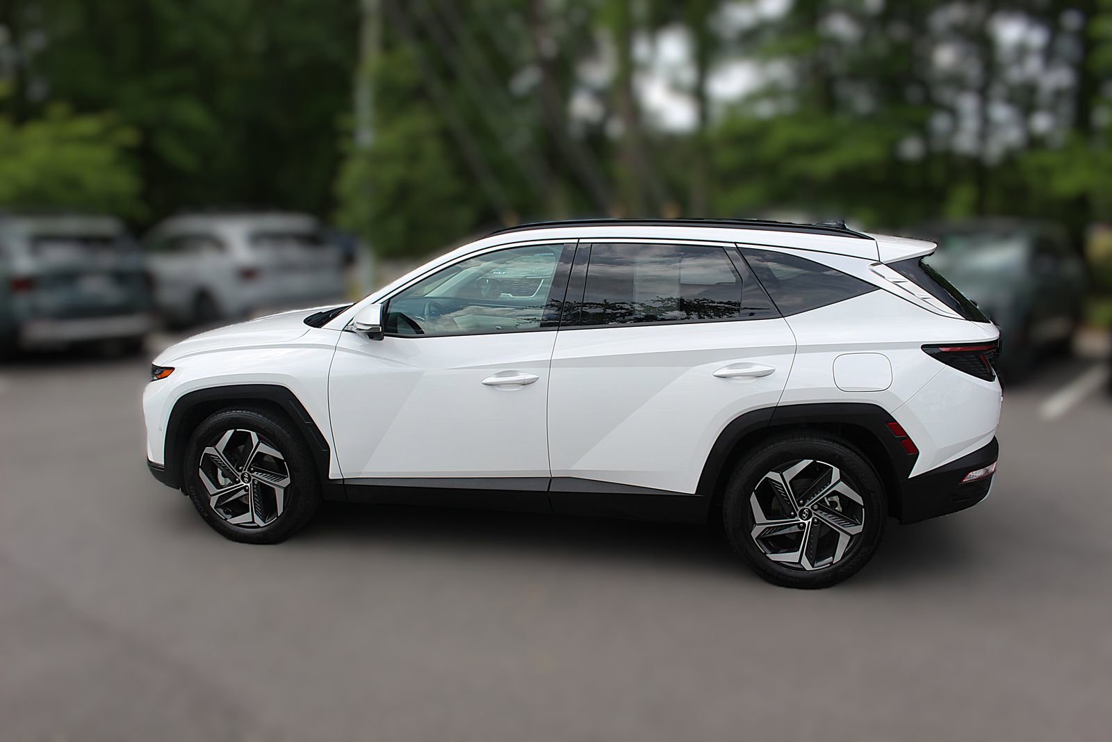 Used 2024 Hyundai Tucson Limited image 5