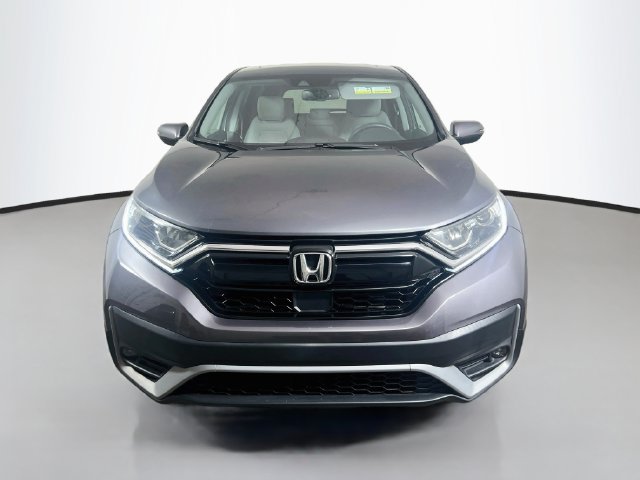 Used 2020 Honda CR-V EX-L image 2