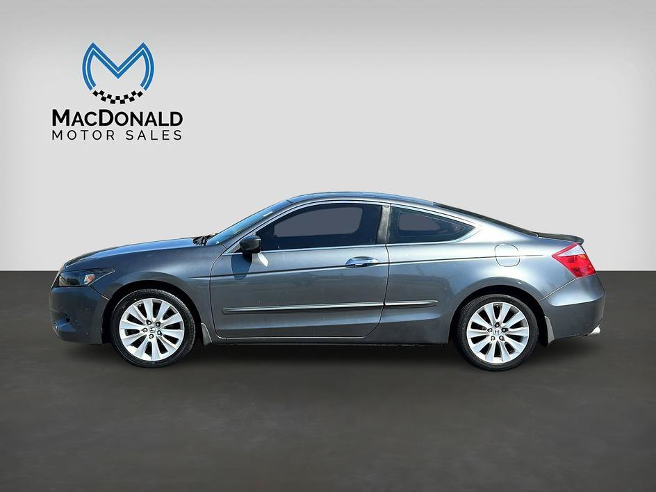 Used 2010 Honda Accord EX-L image 4