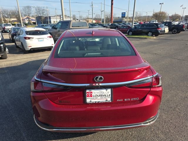 Used 2023 Lexus ES 250 w/ Premium Package image 5
