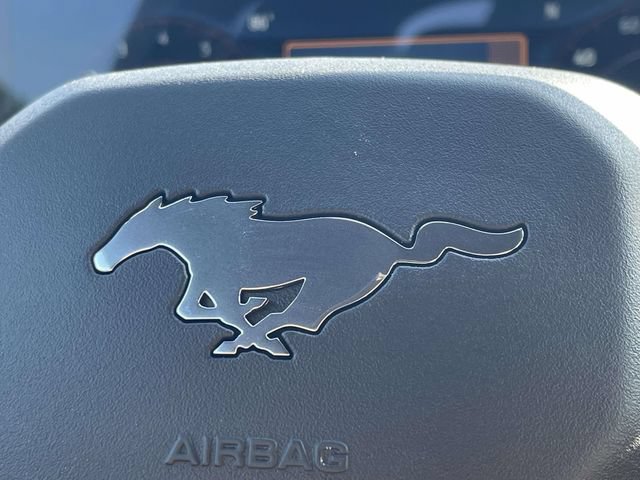 New 2026 Ford Mustang Coupe w/ Mustang Nite Pony Package RWD image 20