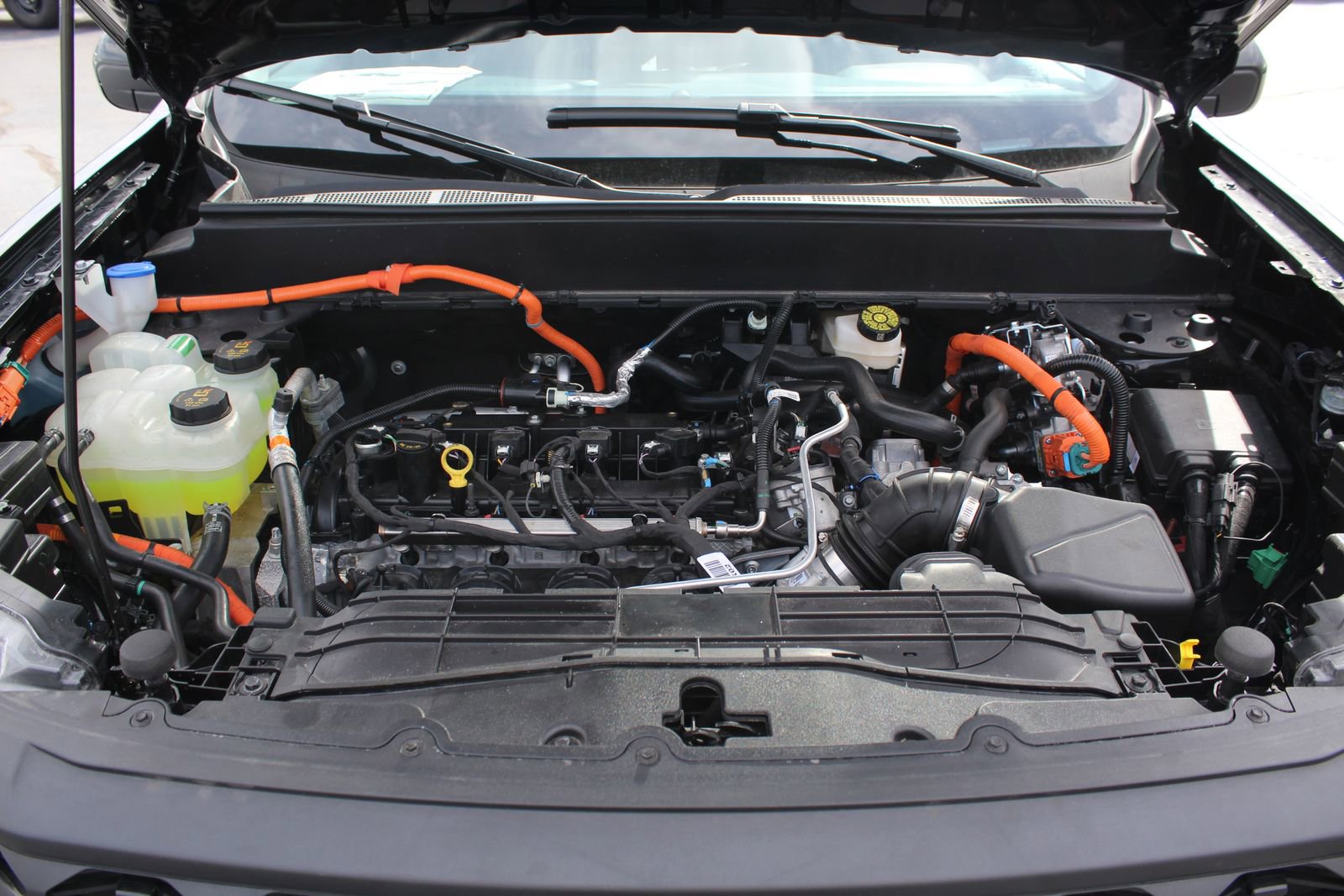 New 2025 Ford Maverick XLT w/ Equipment Group 301A image 23