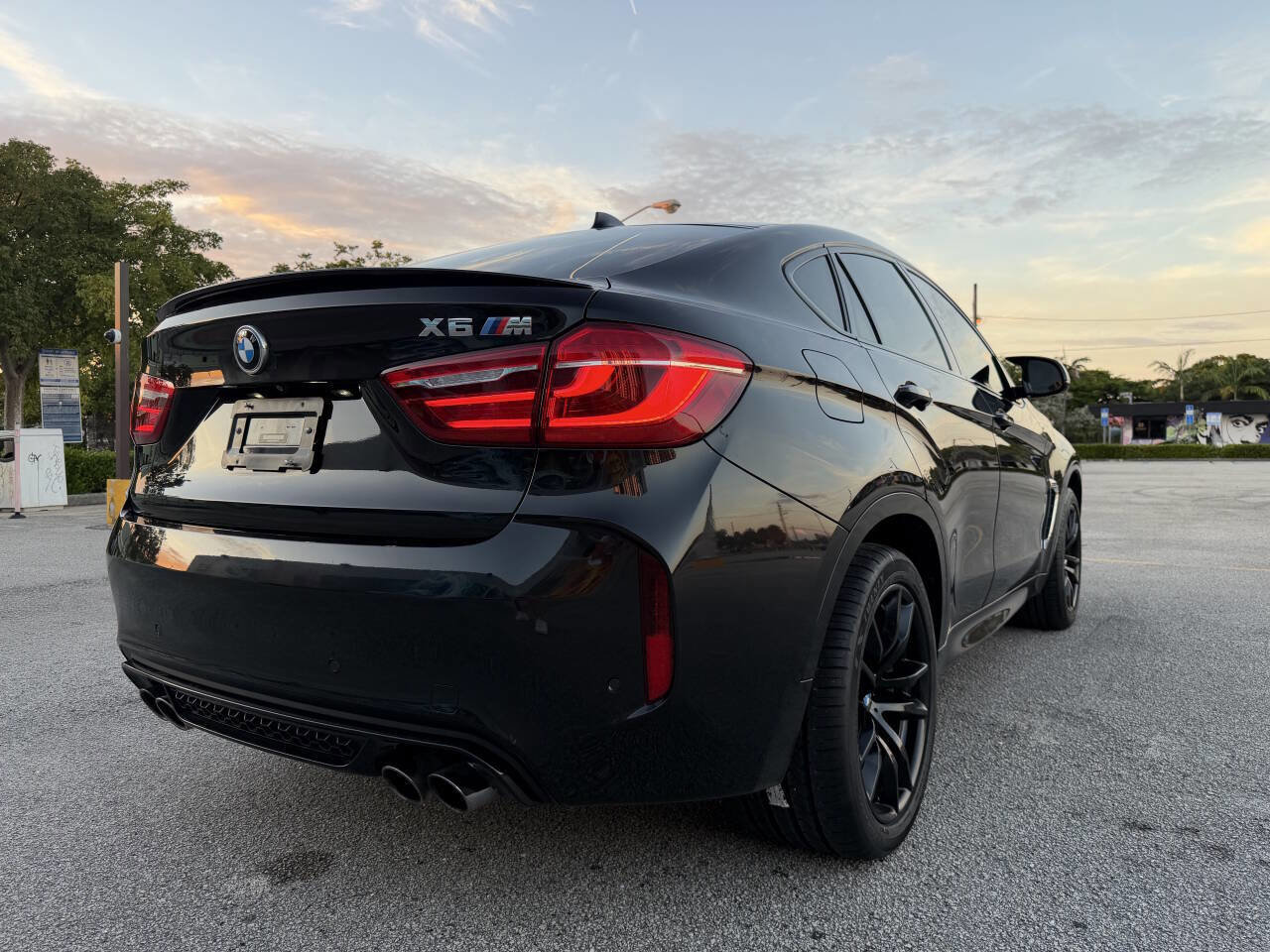 Used 2016 BMW X6 M Base AWD 4dr SUV image 20