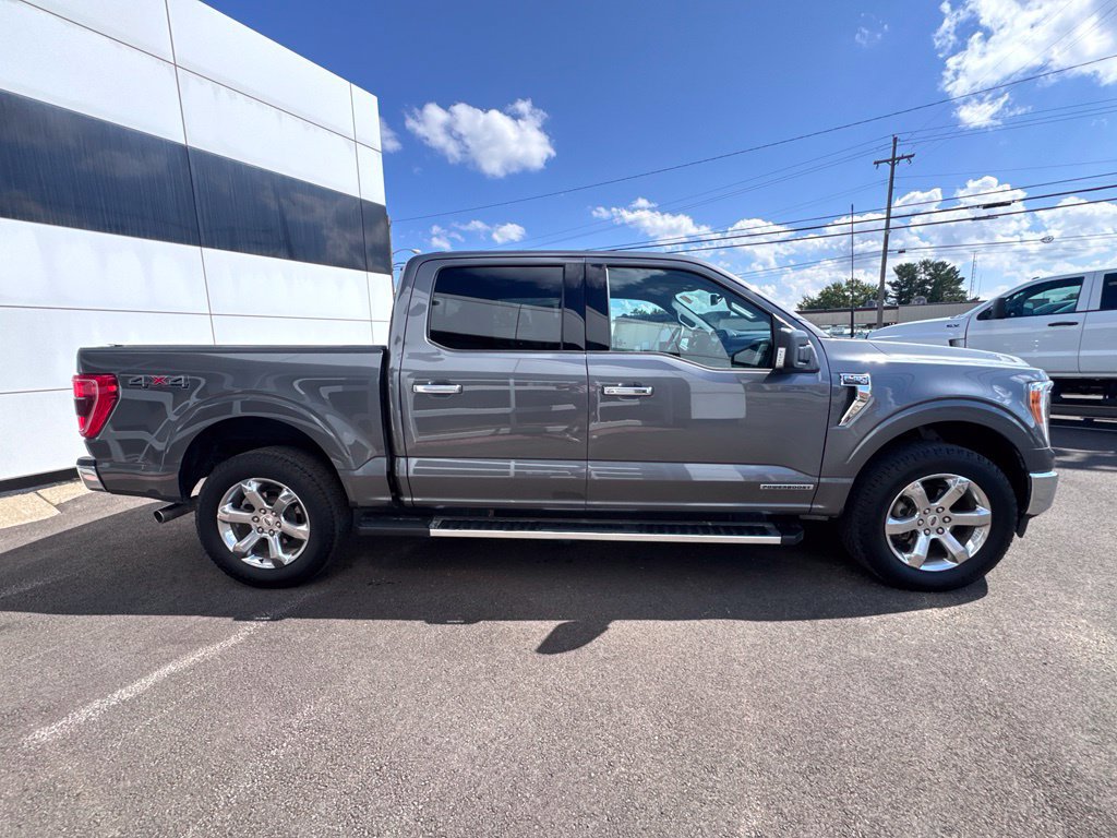 Used 2023 Ford F150 XLT w/ Equipment Group 302A High AWD/4WD image 7
