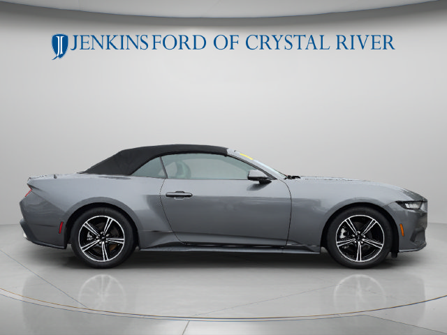 Used 2024 Ford Mustang Premium RWD image 2