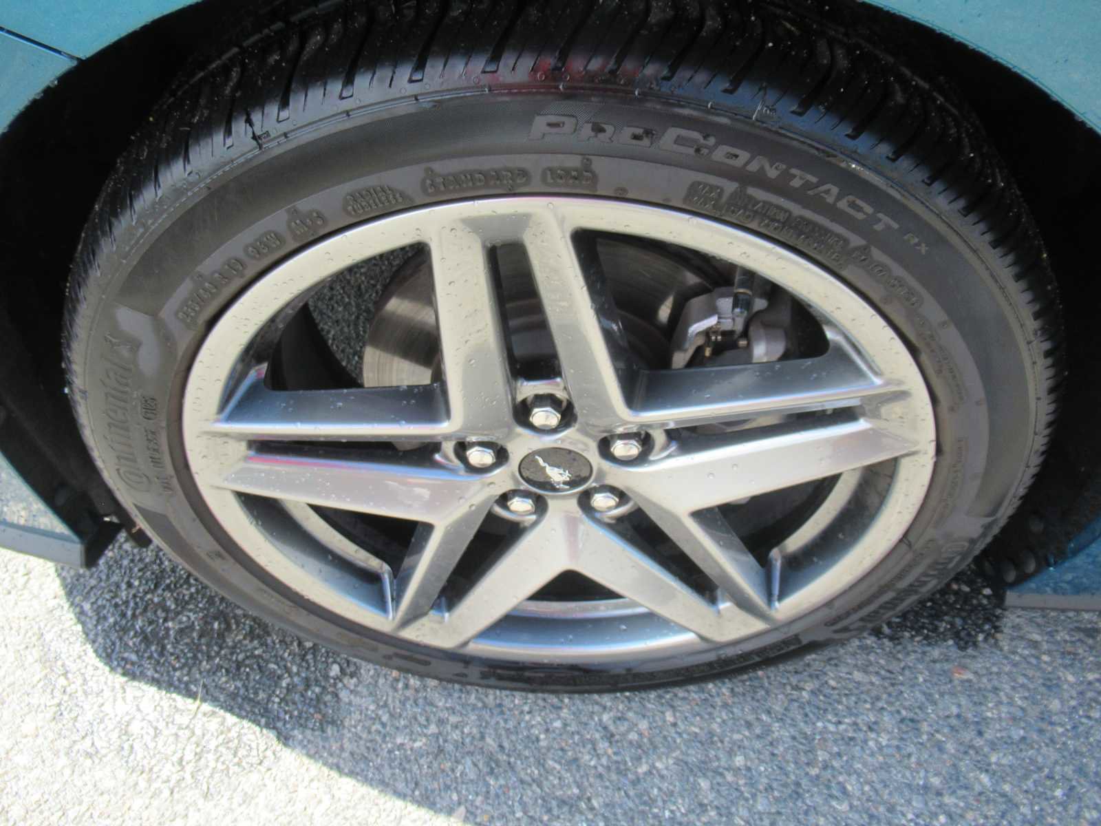 Used 2026 Ford Mustang Coupe RWD image 12