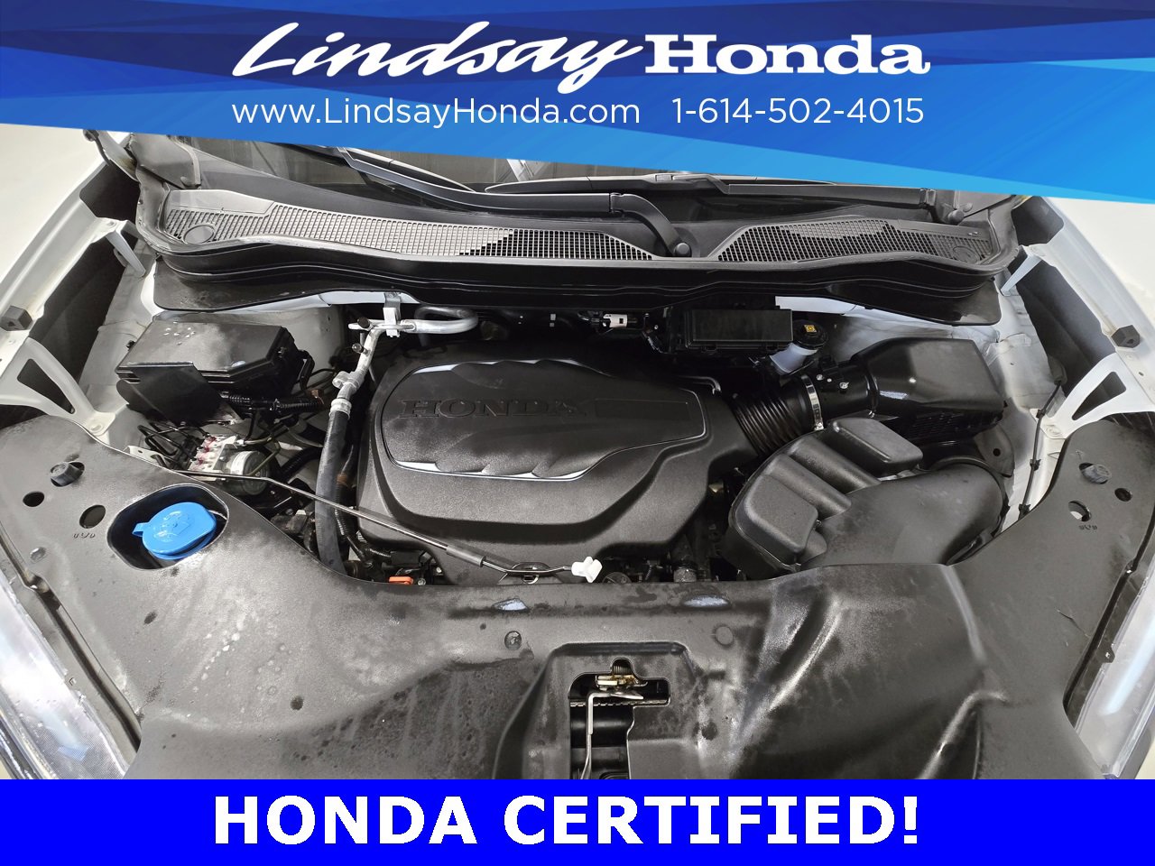 Certified 2024 Honda Ridgeline TrailSport image 24