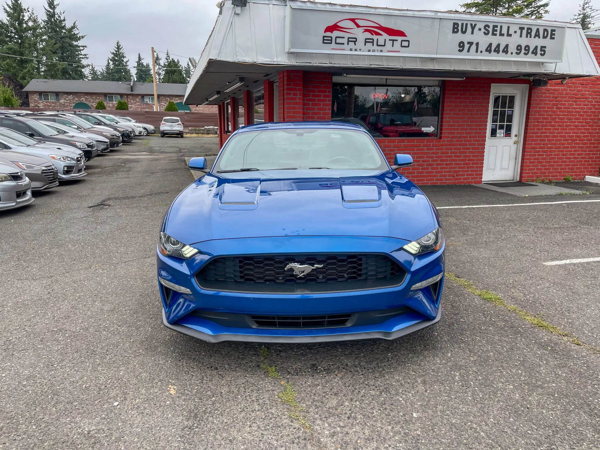 Used 2018 Ford Mustang Coupe w/ Ecoboost Performance Package image 6