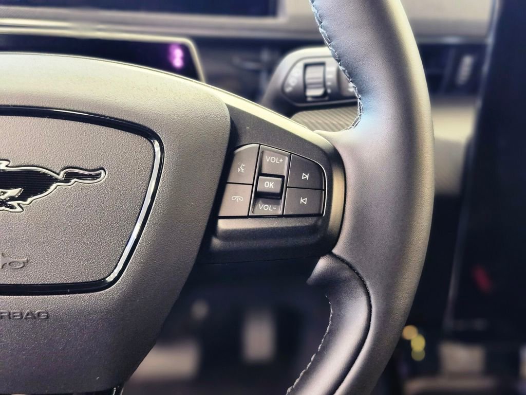 New 2024 Ford Mustang Mach-E Select w/ Comfort Package Lite image 25