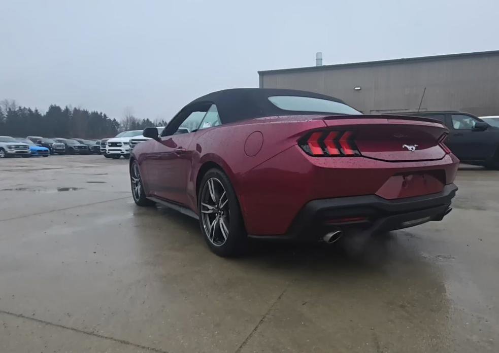 Used 2025 Ford Mustang Premium w/ Wheel & Stripe Package image 5