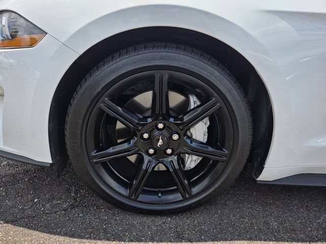 Certified 2019 Ford Mustang GT Premium w/ Black Accent Package RWD image 21