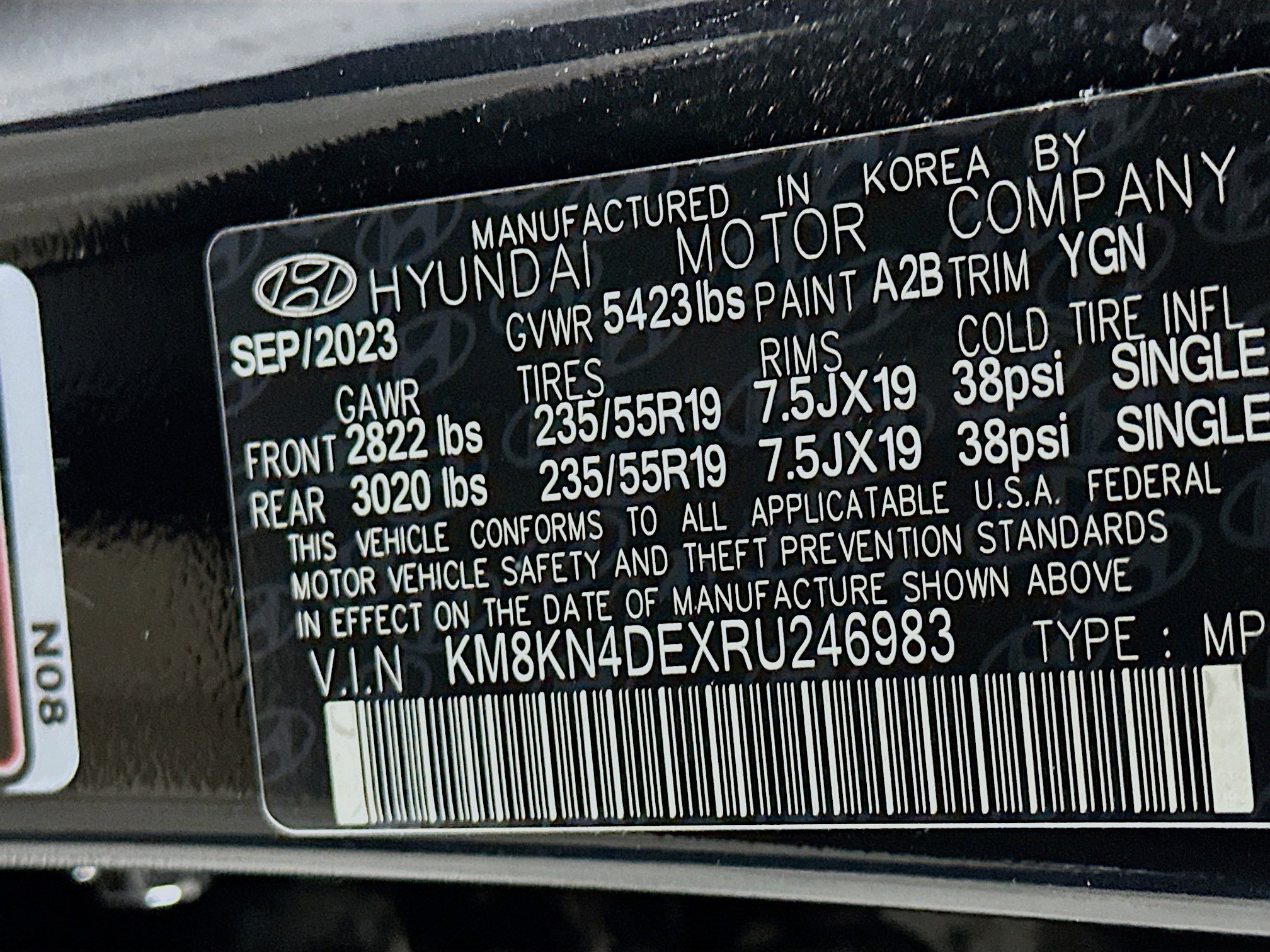 Used 2024 Hyundai Ioniq 5 SEL RWD image 12