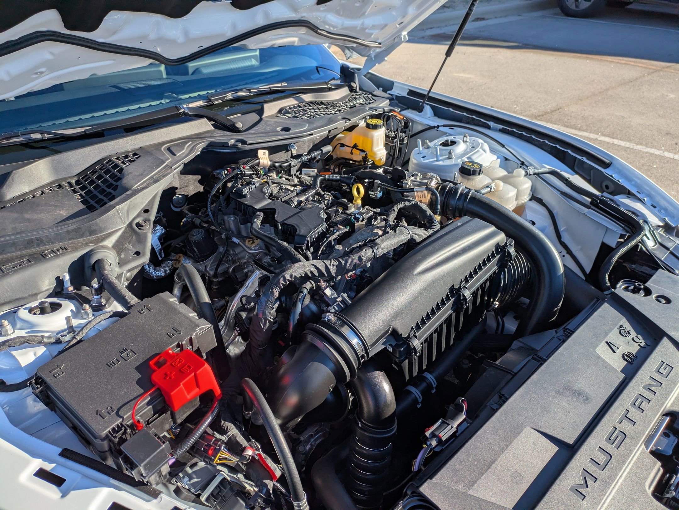 Certified 2025 Ford Mustang Coupe image 36