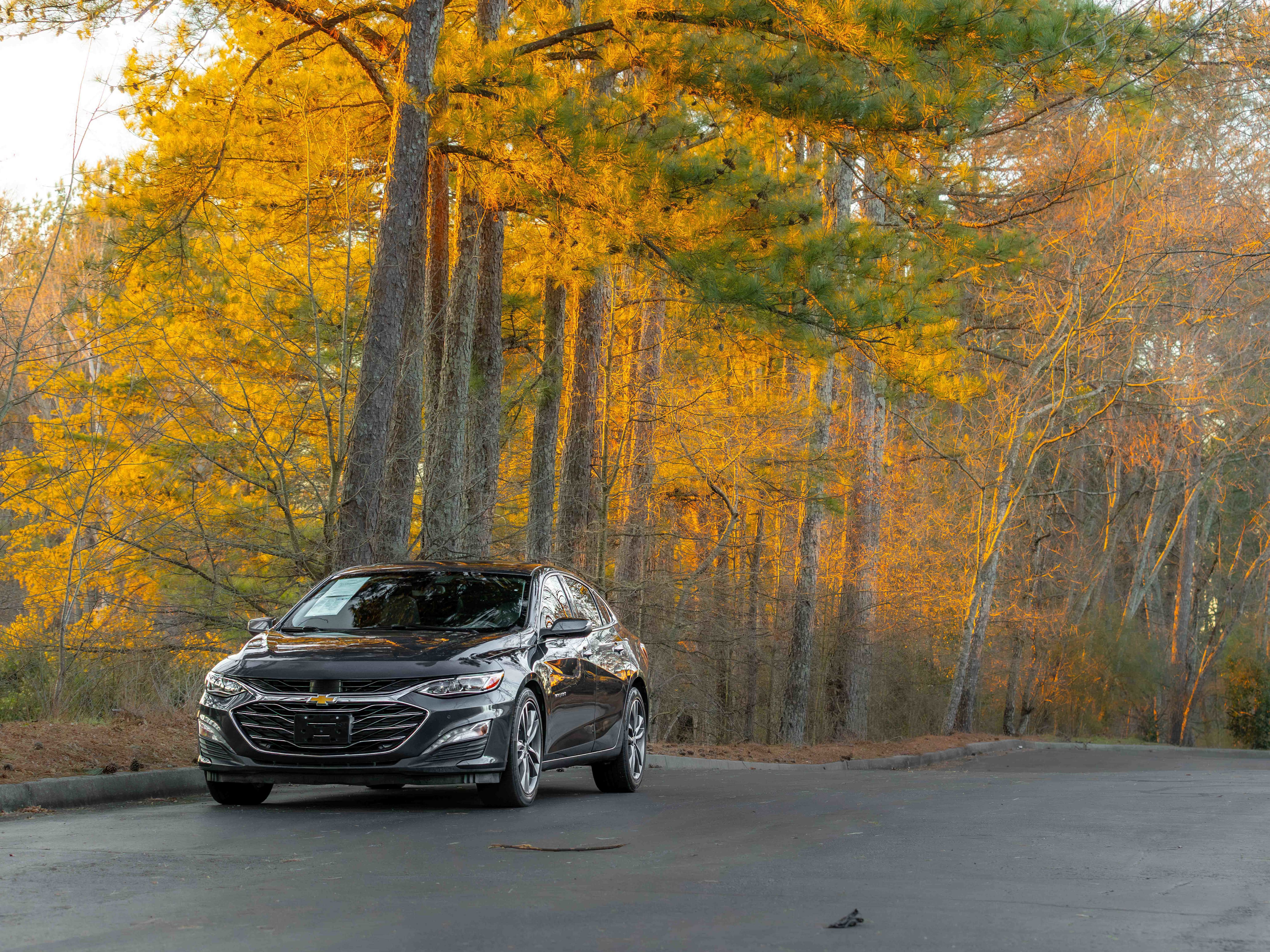 Used 2019 Chevrolet Malibu Premier w/ Sun and Wheel Package image 42