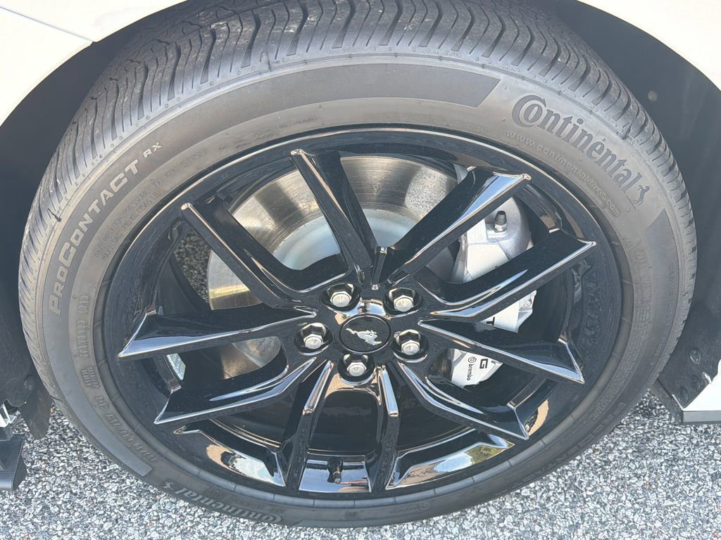 Used 2025 Ford Mustang GT w/ Mustang Nite Pony Package image 13