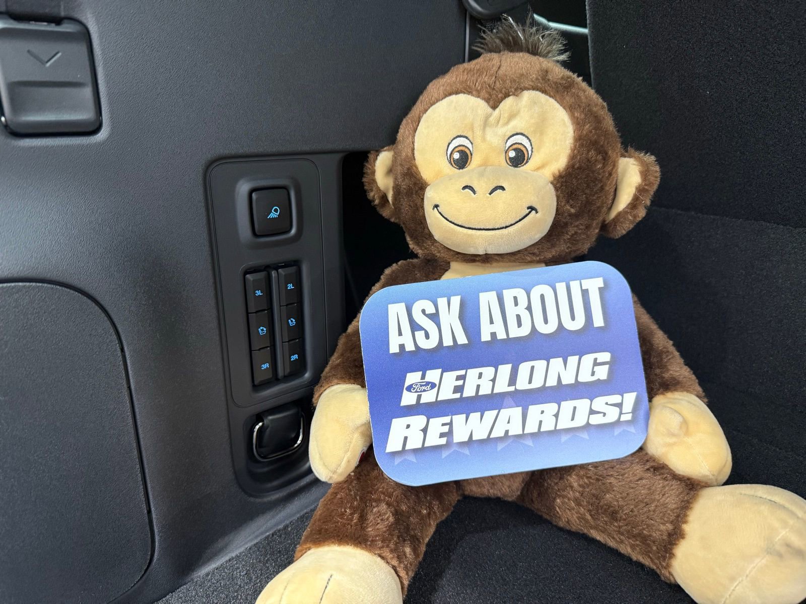 New 2025 Ford Expedition Tremor image 12