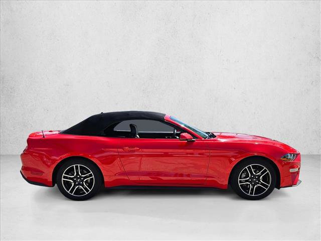 Used 2019 Ford Mustang Premium image 4