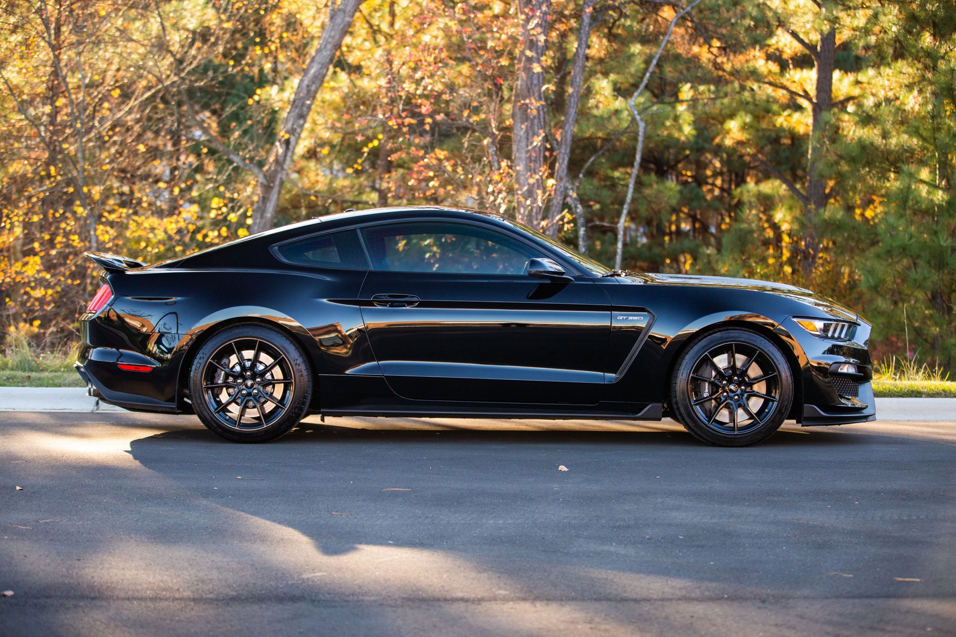 Used 2019 Ford Mustang Shelby GT350 w/ Technology Package image 3
