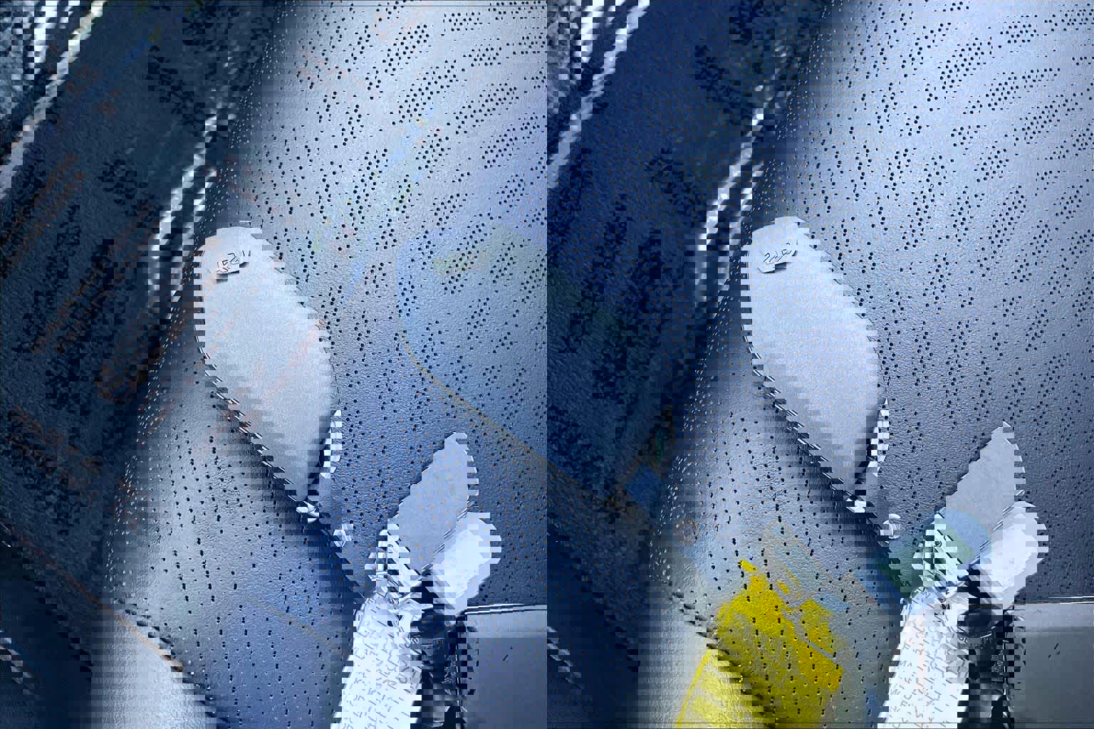 Used 2025 Kia Carnival image 11