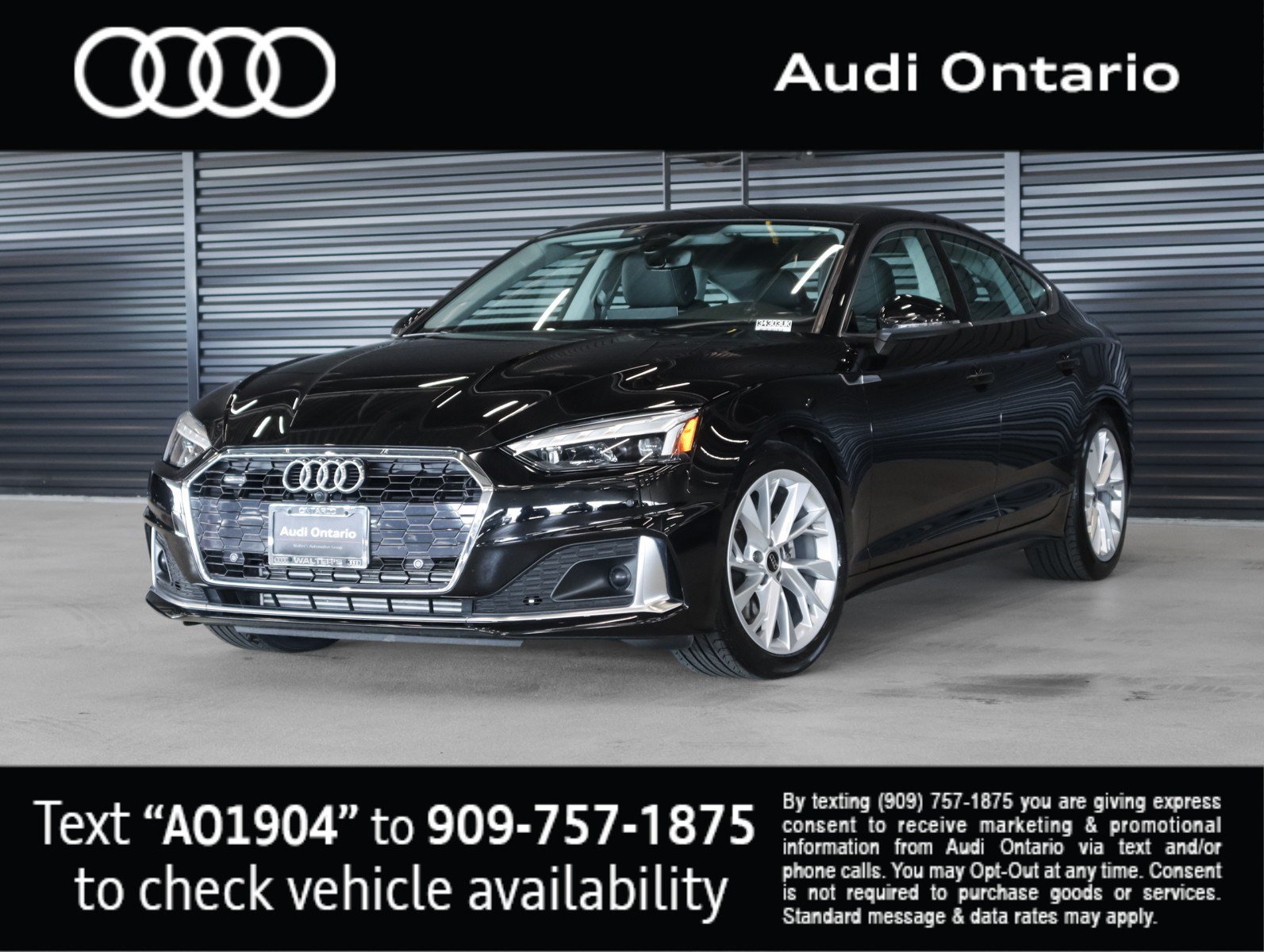 Used 2023 Audi A5 2.0T Premium Plus w/ Premium Plus AWD/4WD image 1