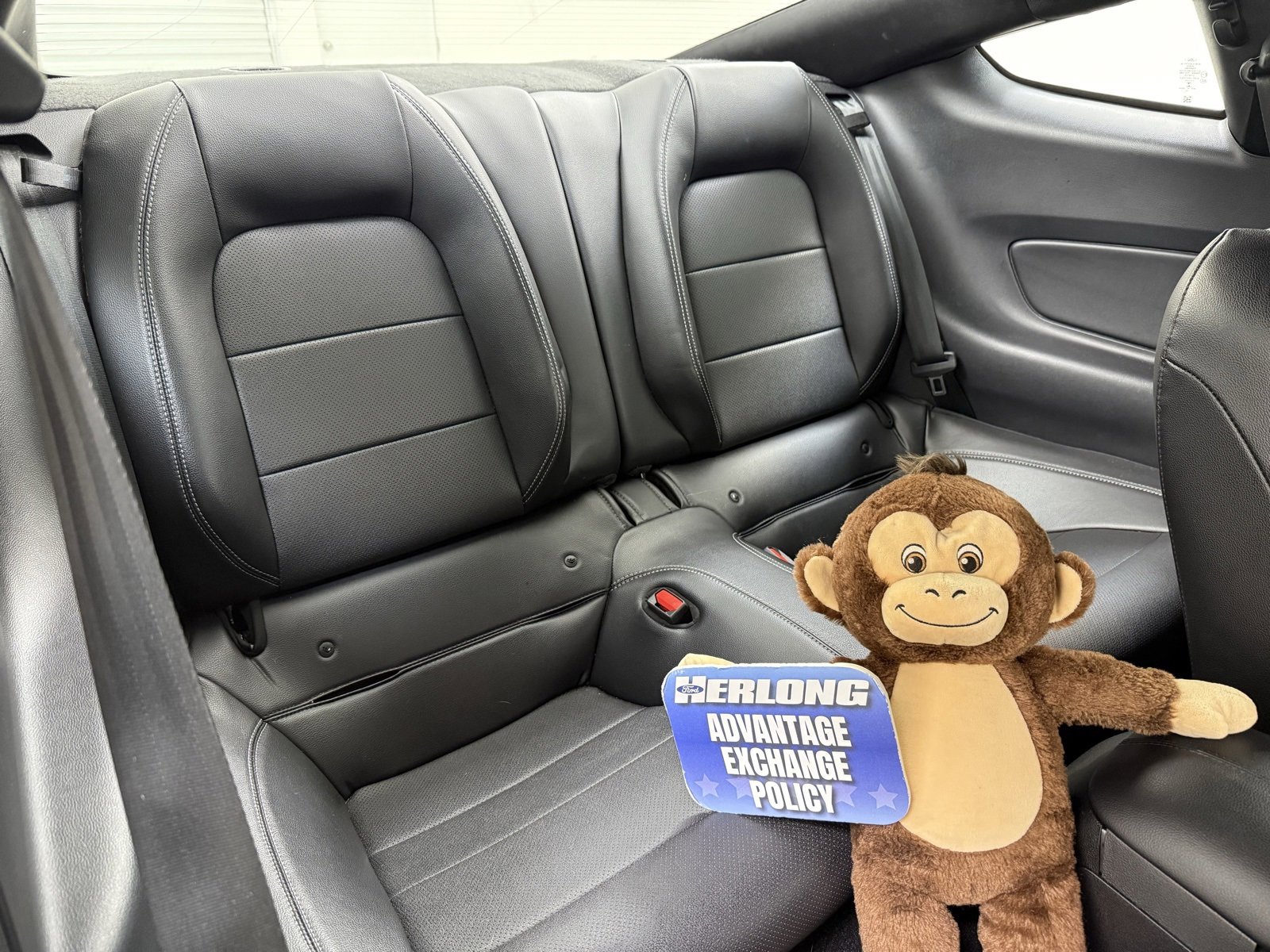 Used 2023 Ford Mustang Premium image 21