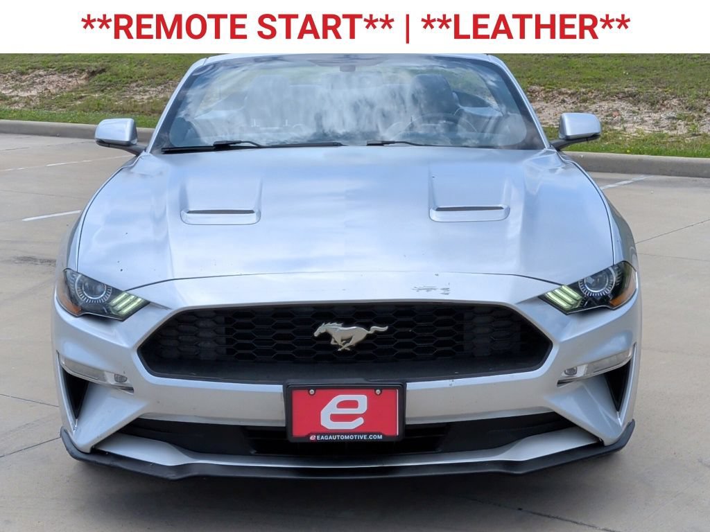 Used 2019 Ford Mustang Premium RWD image 2
