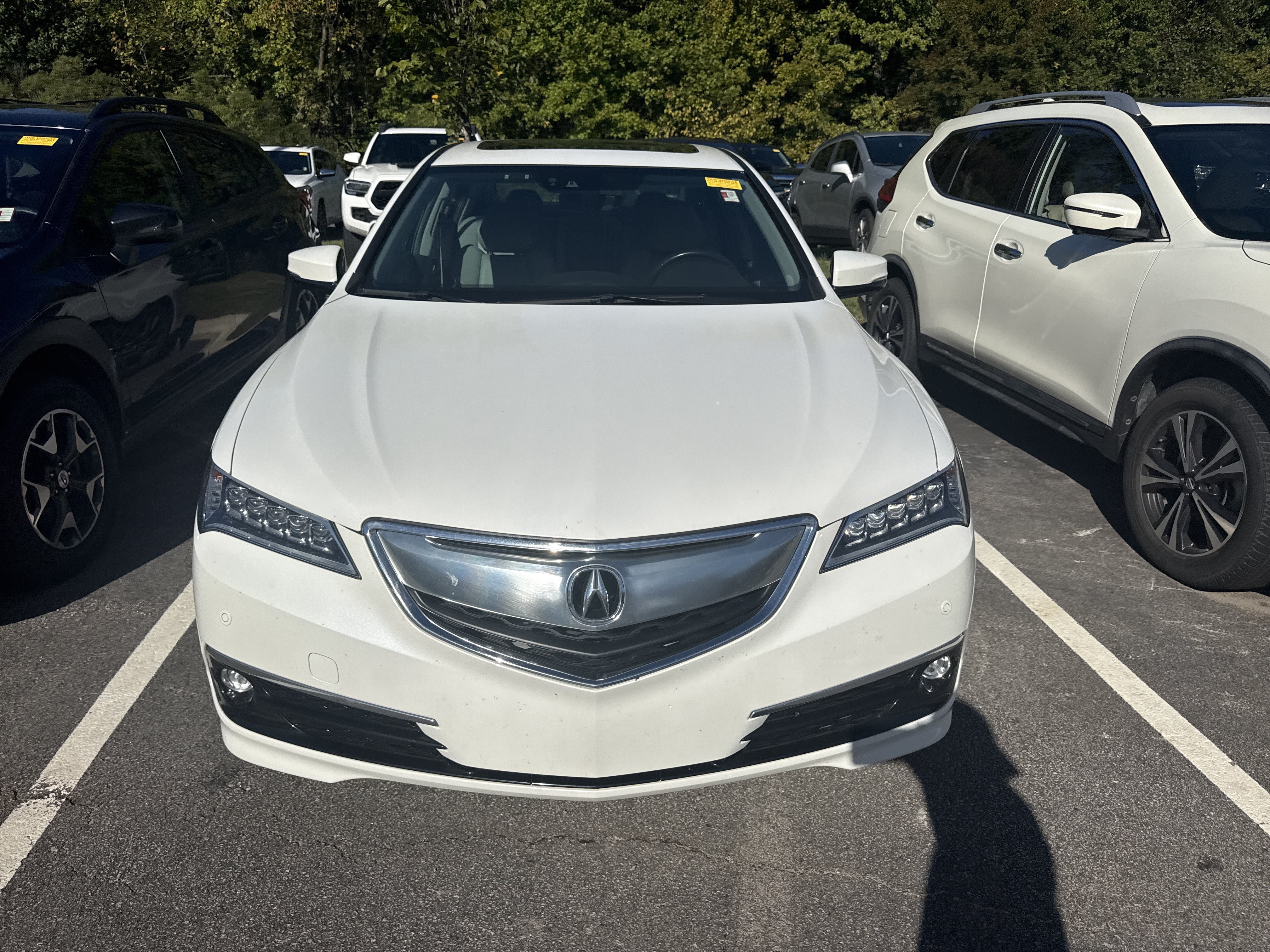 Used 2015 Acura TLX w/ Advance Package AWD/4WD image 2