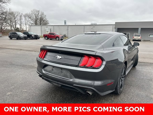 Used 2019 Ford Mustang Premium w/ Equipment Group 201A image 9