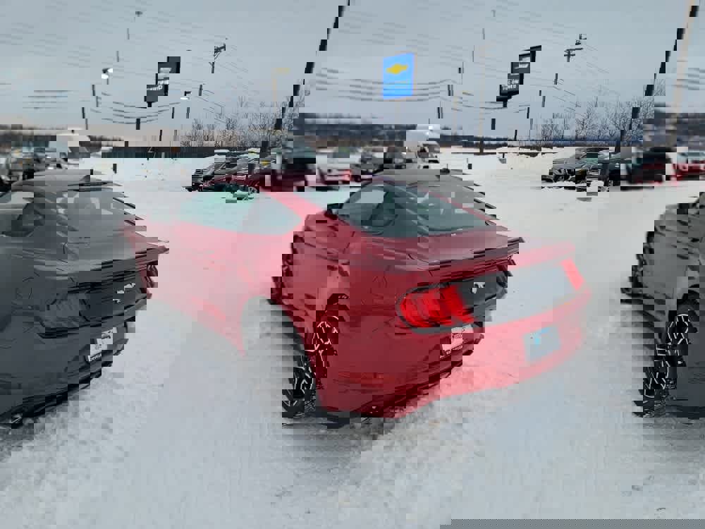 Used 2020 Ford Mustang Coupe w/ Equipment Group 101A image 3