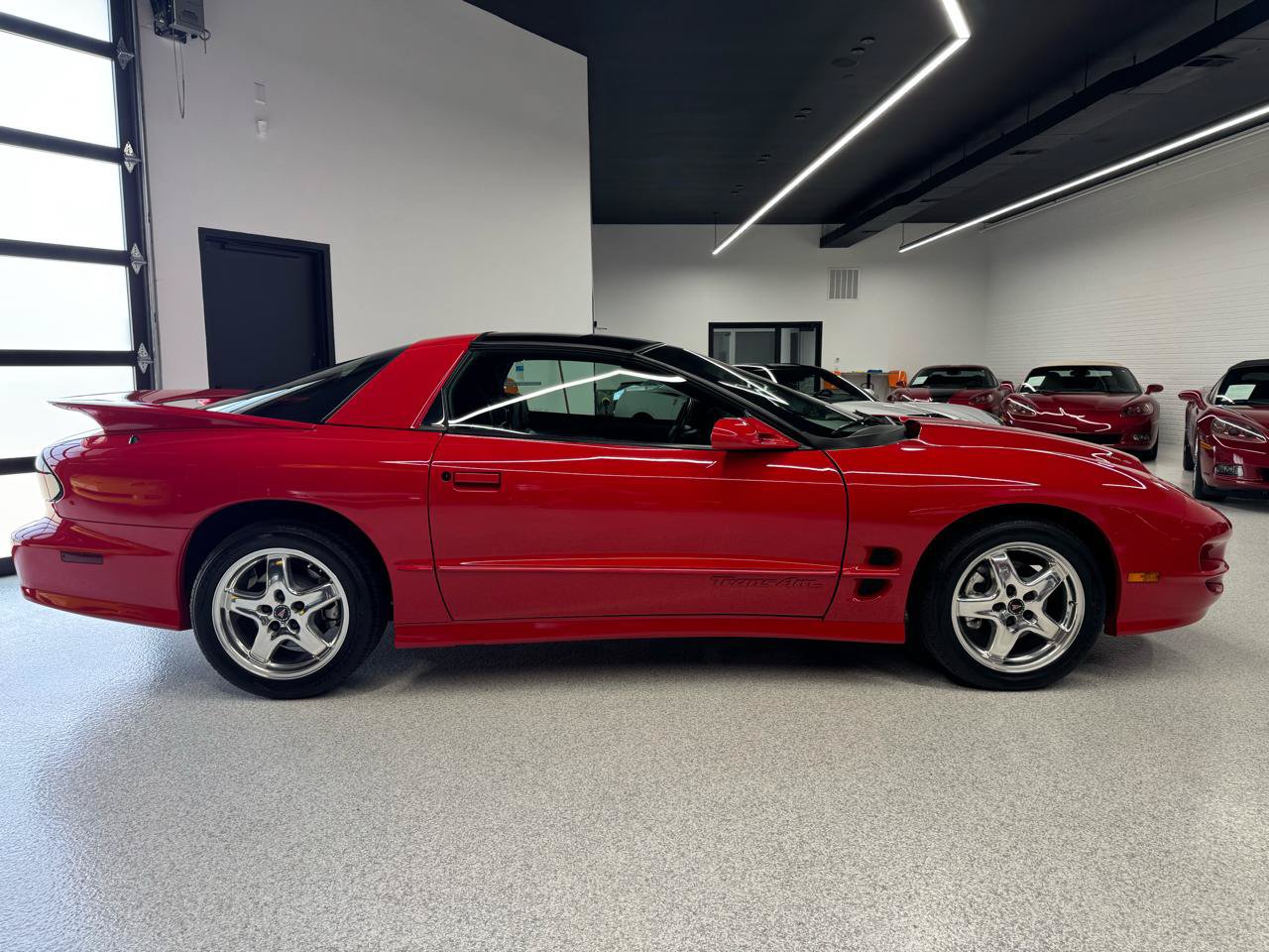 Used 2002 Pontiac Firebird Trans Am RWD image 16