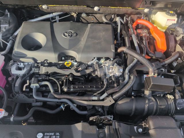 Certified 2025 Toyota RAV4 LE image 28